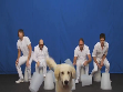 Musicalidade Canina